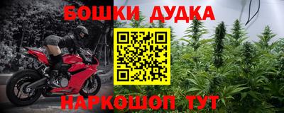 кокс Кингисепп