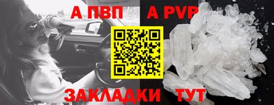 кокс Кингисепп