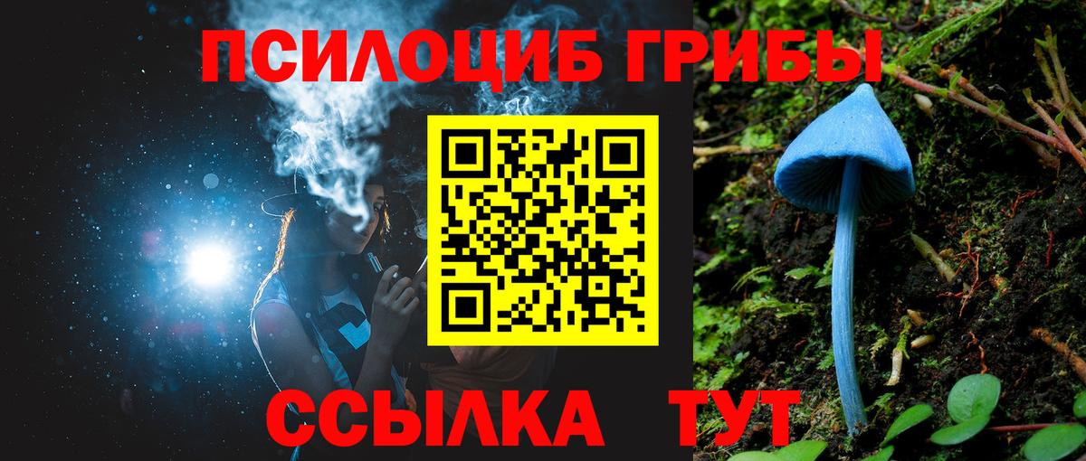 Красноярск  Галлюциногенные грибы GOLDEN TEACHER  Вход с VPN  Галлюциногенные грибы мицелий 